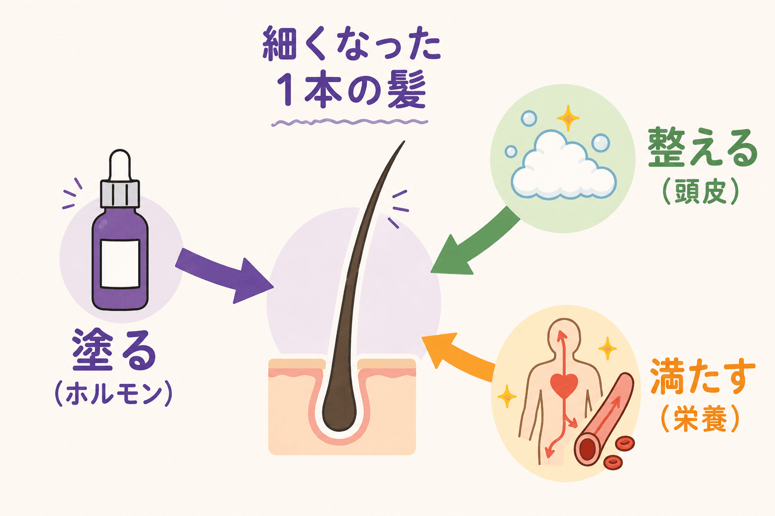 1本の髪に3方向から向かう図解