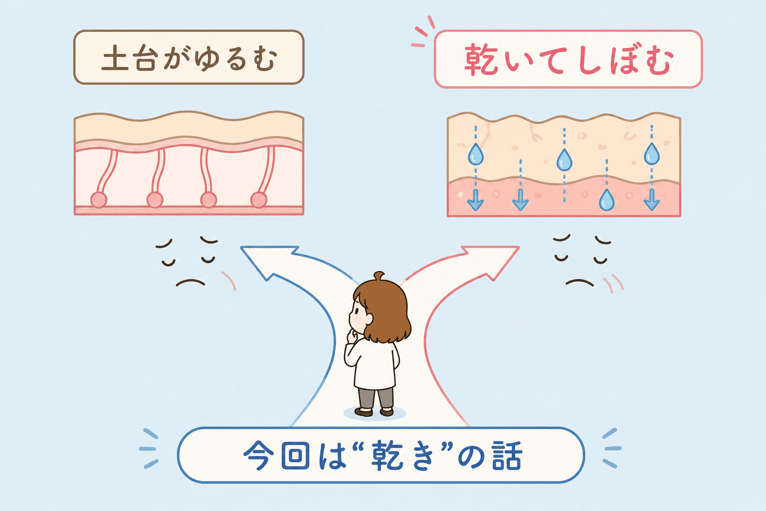 土台がゆるむタイプと乾いてしぼむタイプの分岐図解