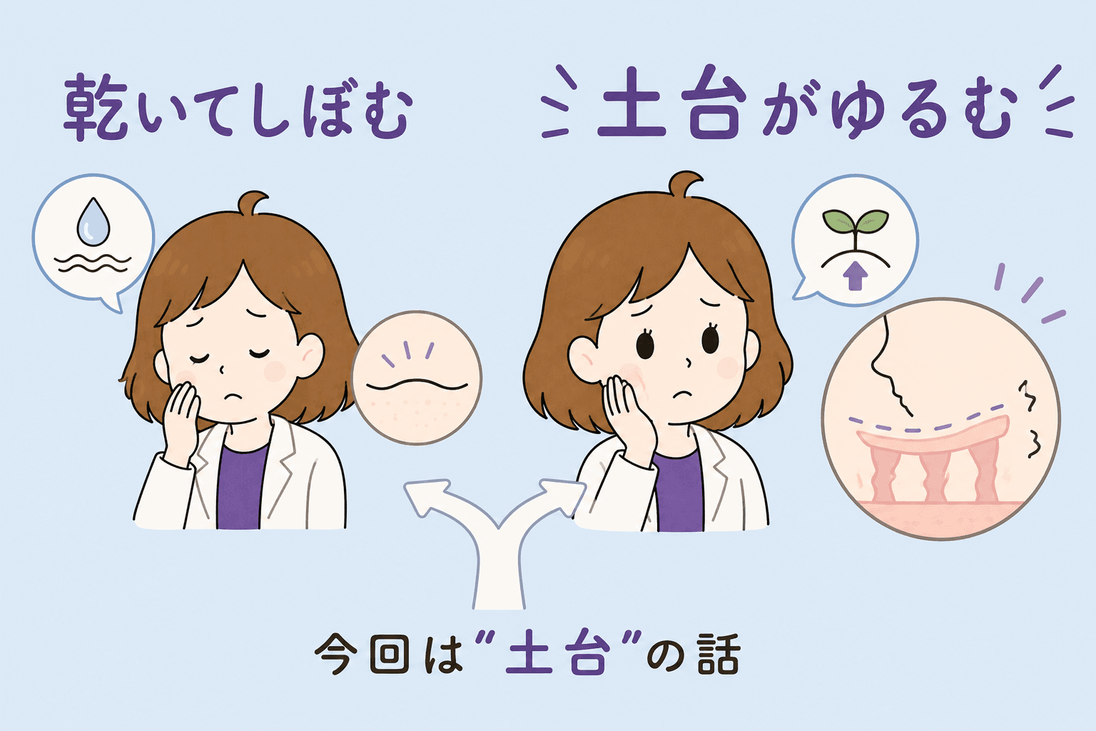乾いてしぼむタイプと土台がゆるむタイプの分岐図解