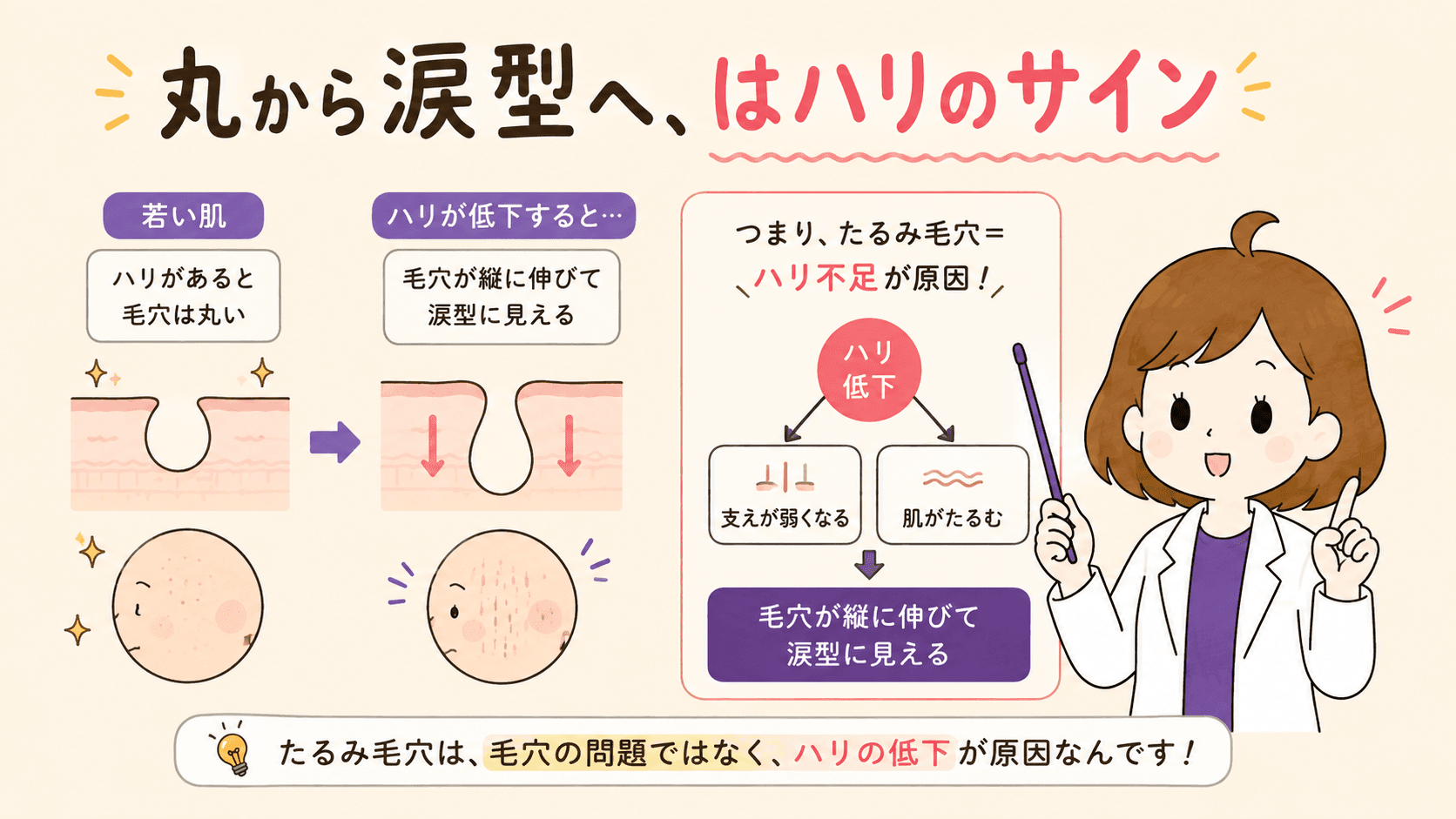 丸く開くタイプと縦長・涙型に伸びるタイプの分岐図解