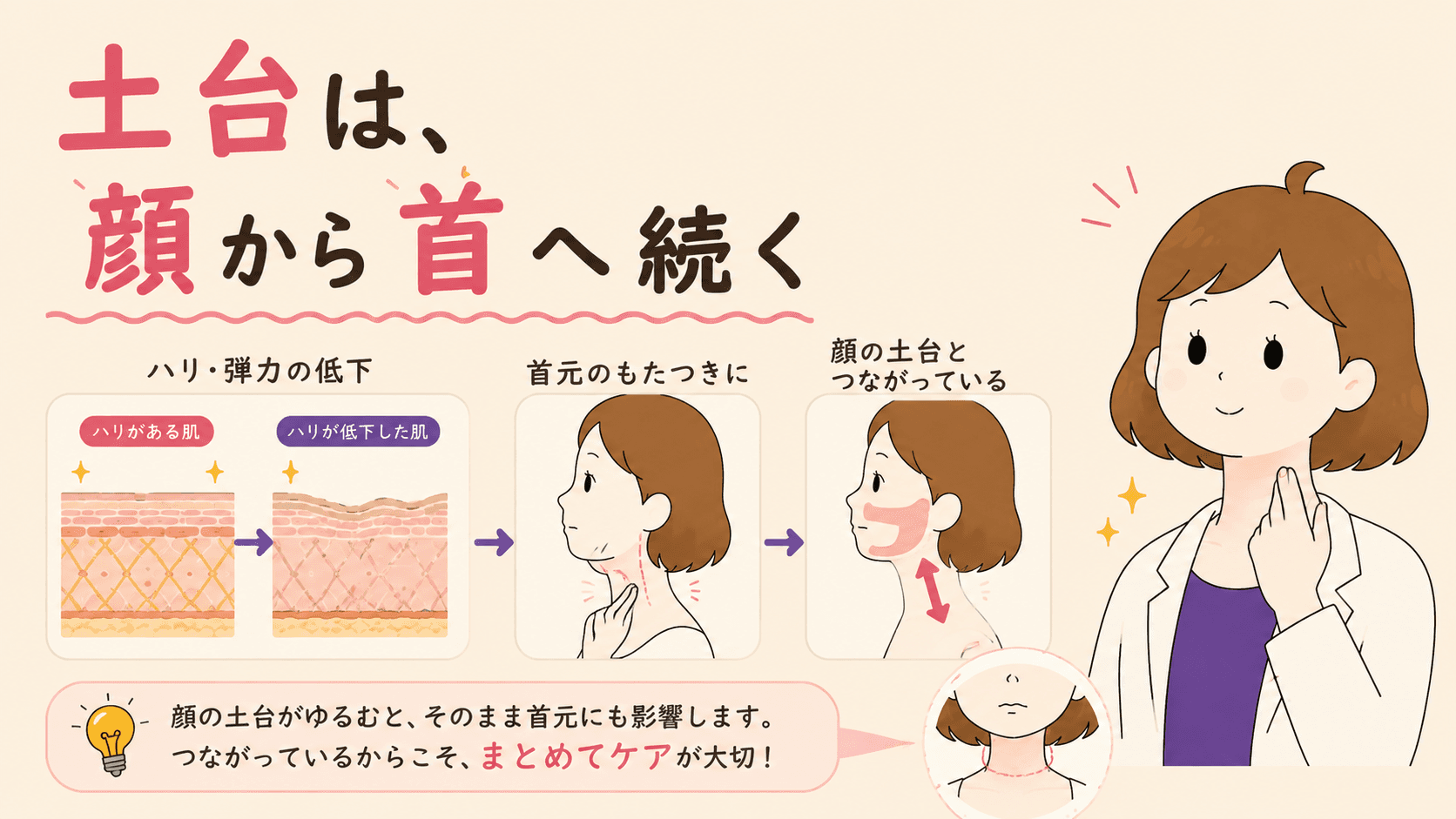 ハリの土台が顔から首へ続いていることを示す図解