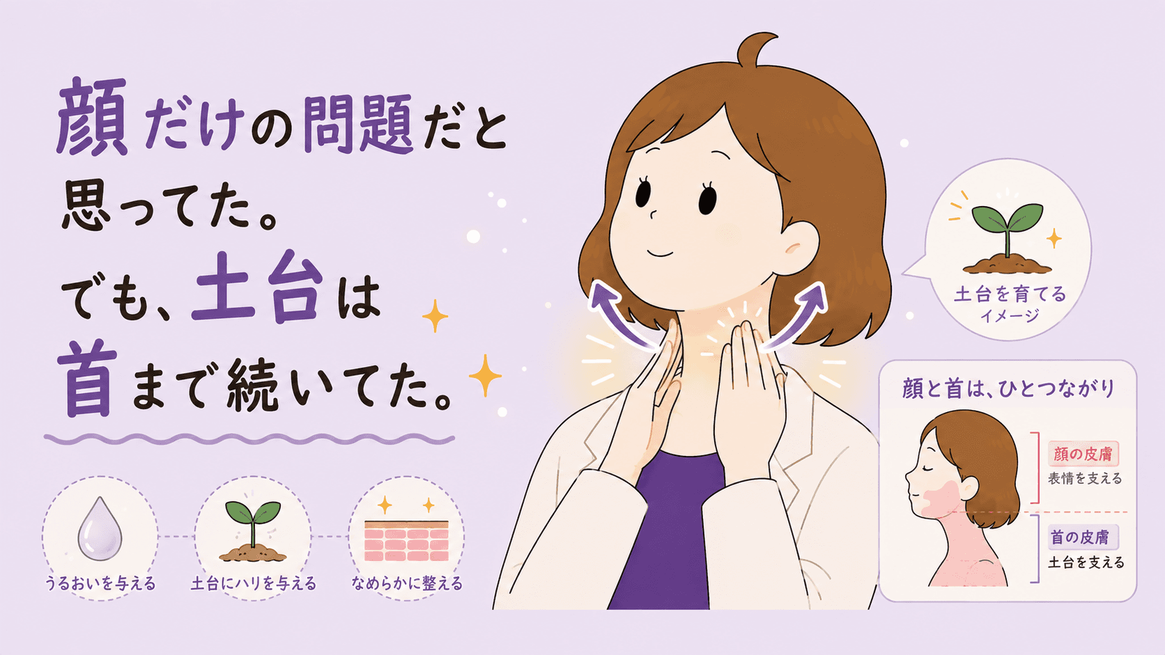 顔から首まで続くハリの土台がゆるんでいく図解