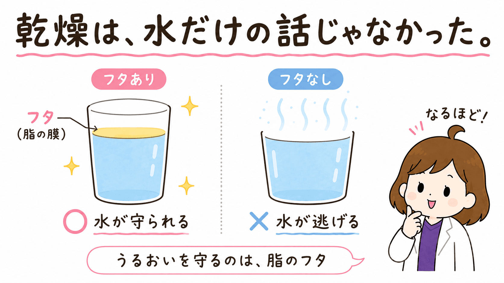 水ではなく脂の膜が肌のうるおいを守る様子