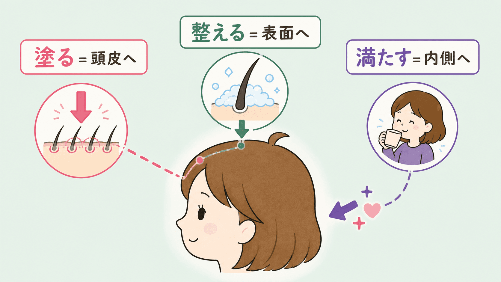 頭皮に塗って育てる土台に働きかける様子