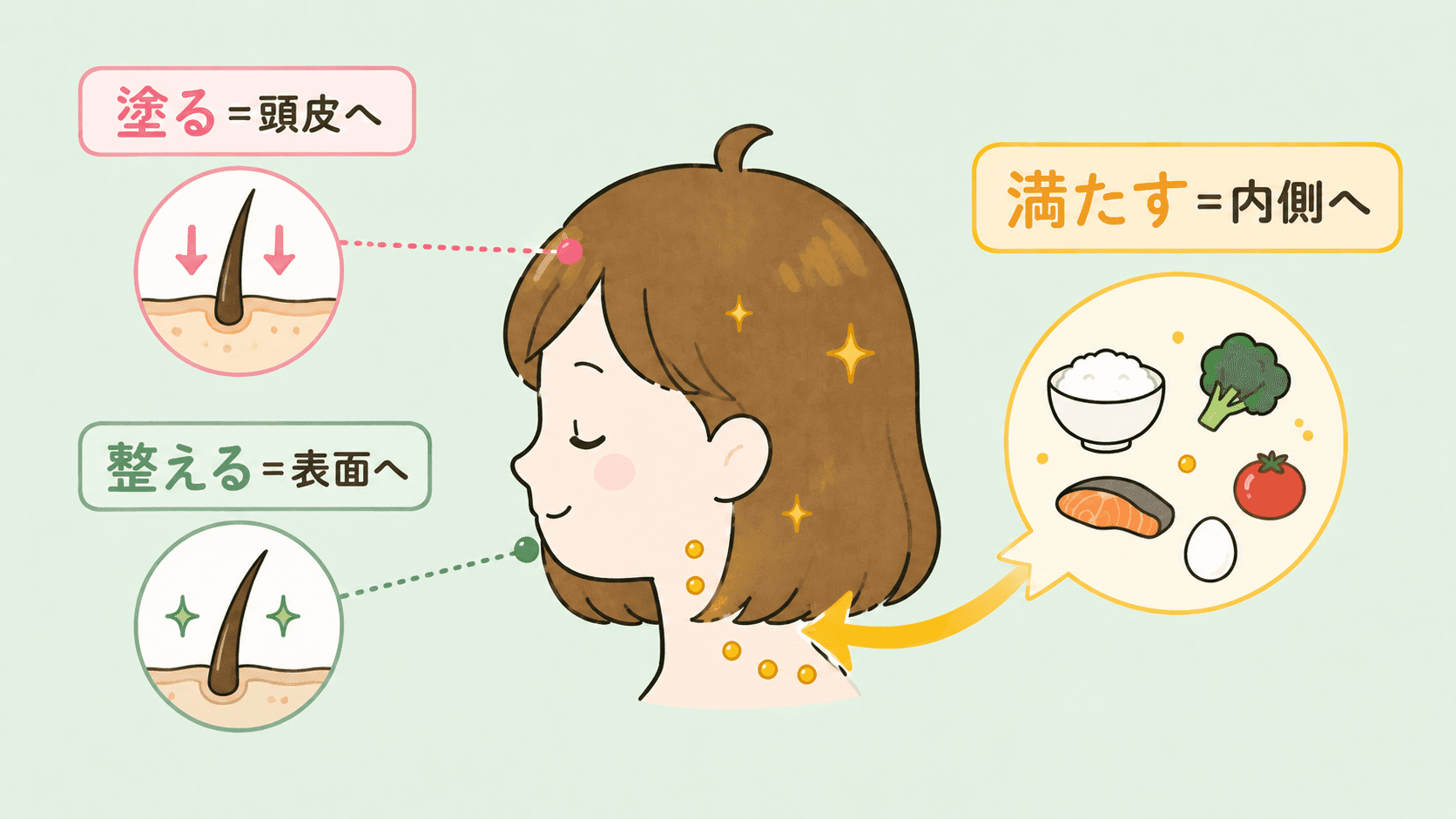 外側のケアと内側の栄養補充は両輪という図解