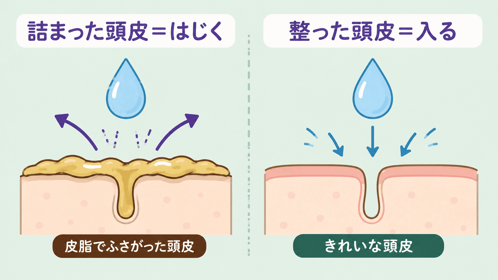 詰まった頭皮とうるおいが入る頭皮の違いの図解