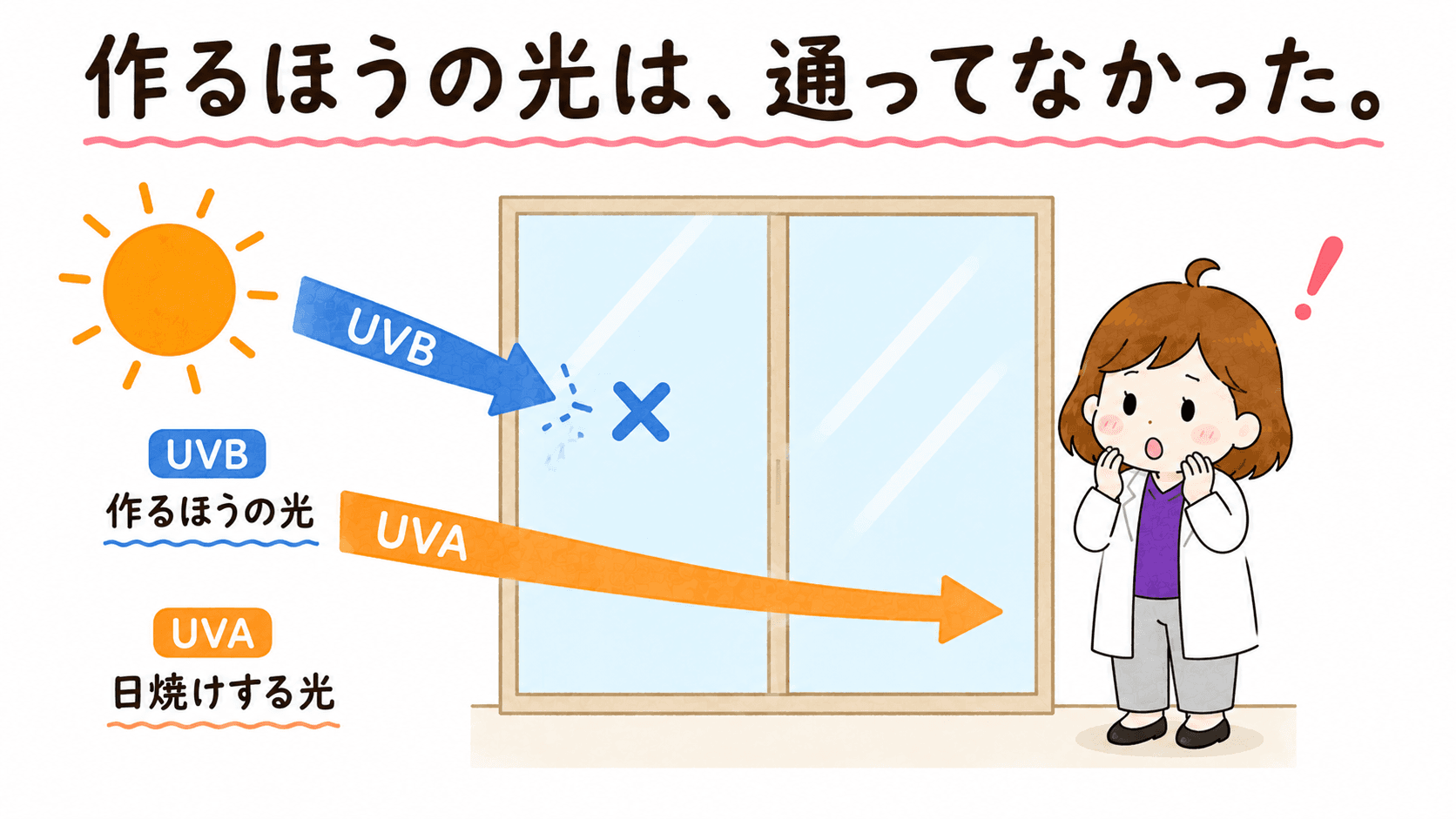 窓越しに日光を浴びるビヨリケイ